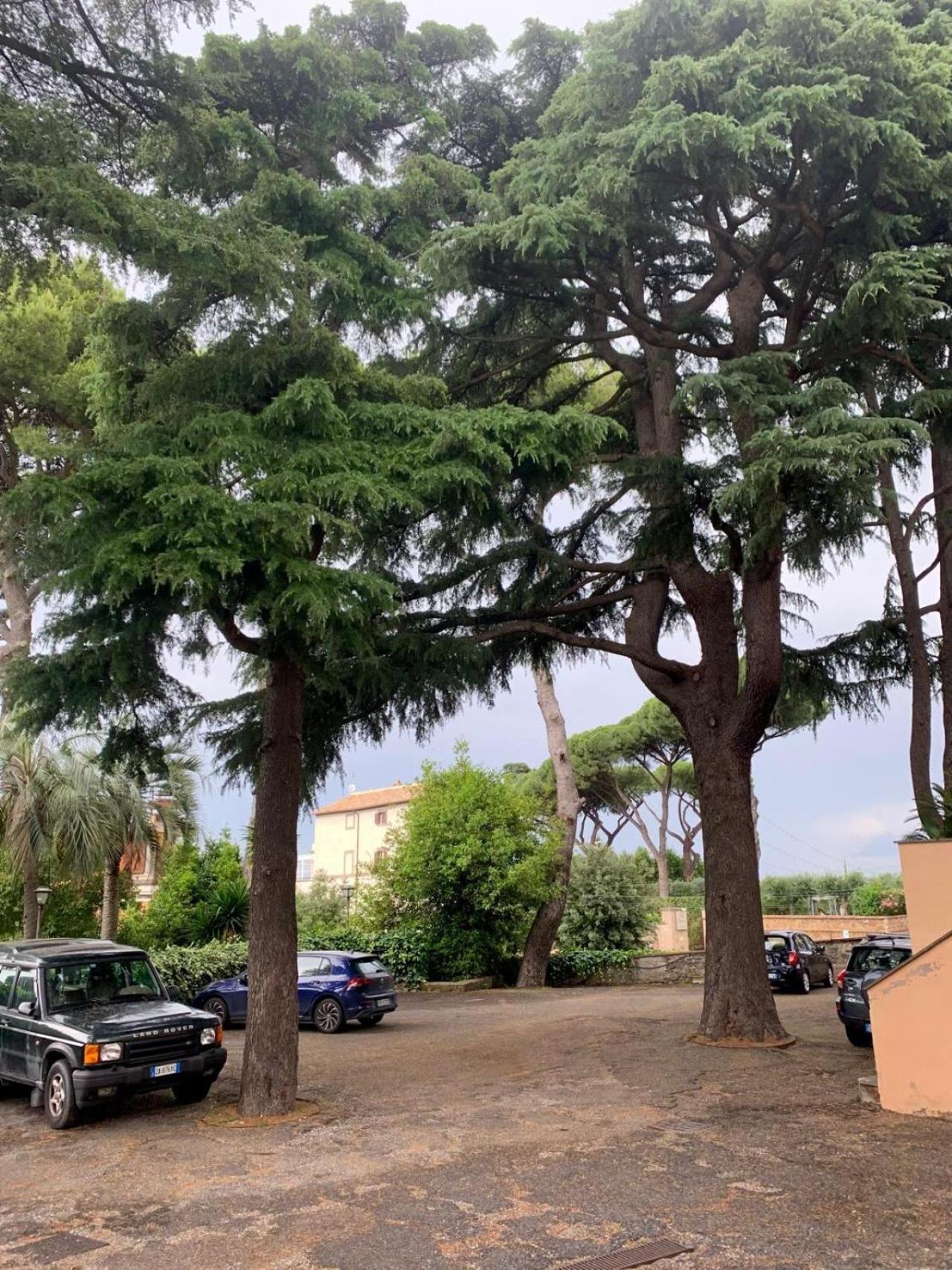 Casa Parco Degli Ulivi Apartment